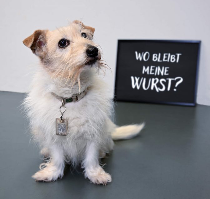 wo bleibt meine wurst?